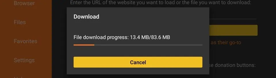 Downloading TUD IPTV app on FireStick